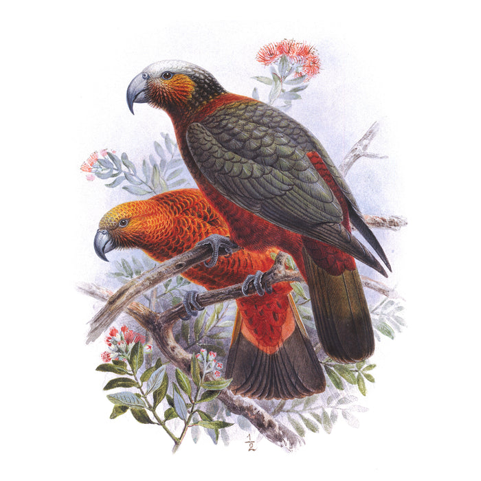 2024 BIRD SERIES GISBORNE ROSE - 750ML BOTTLE