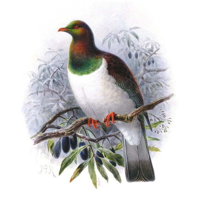 2024 BIRD SERIES CHARDONNAY 750ML BOTTLE